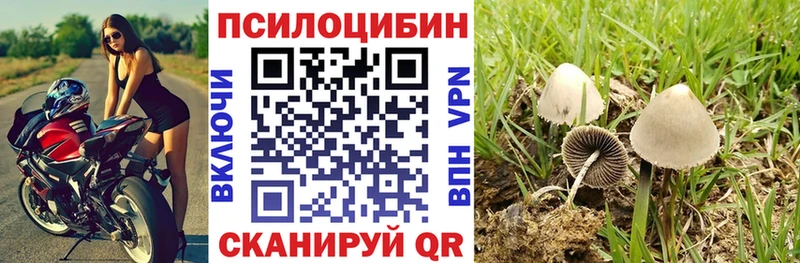 Галлюциногенные грибы GOLDEN TEACHER  даркнет сайт  Нюрба 
